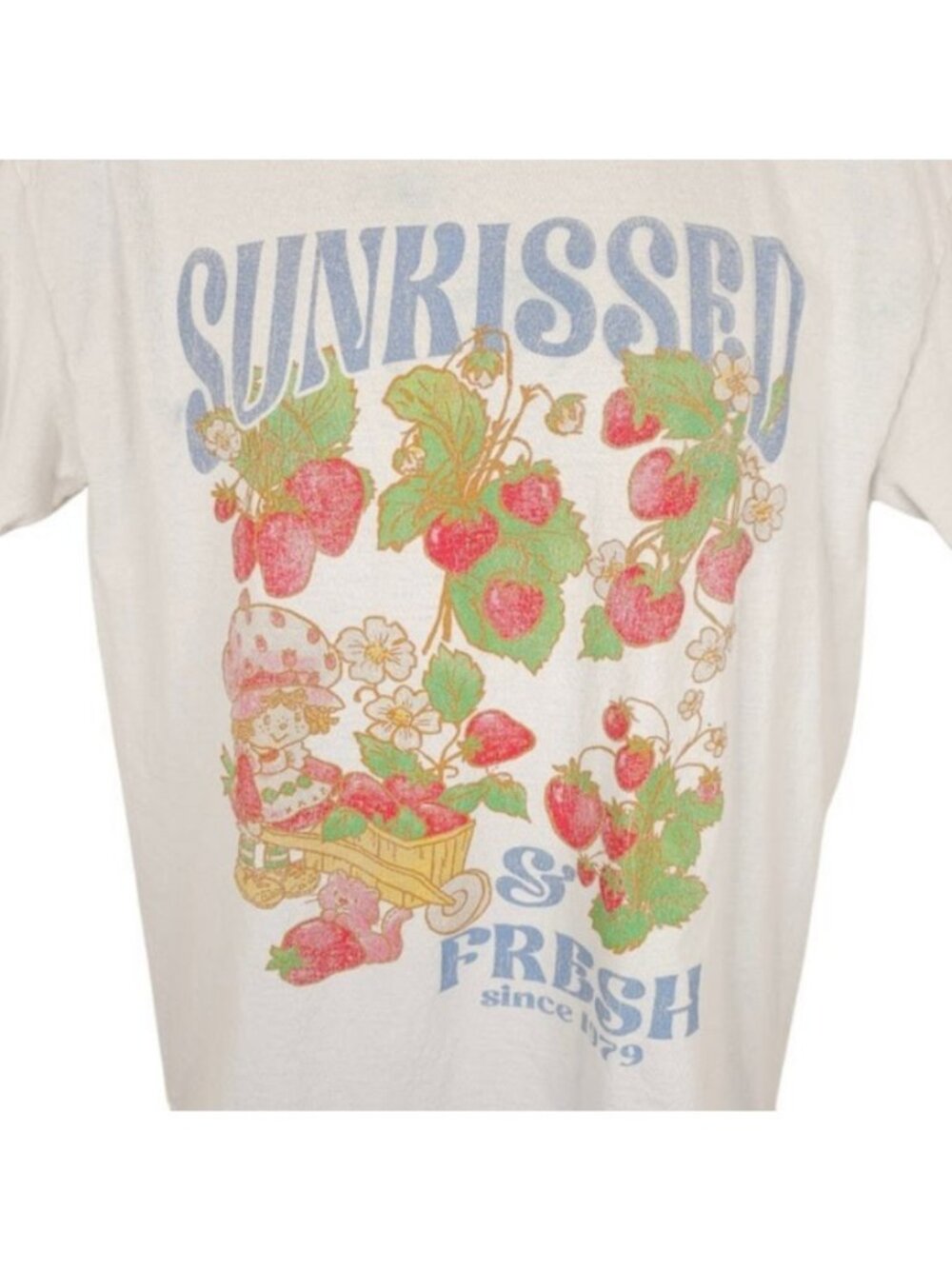 Strawberry Shortcake T Shirt Mens Size Medium Blue Sunkissed And Fresh RELAXED